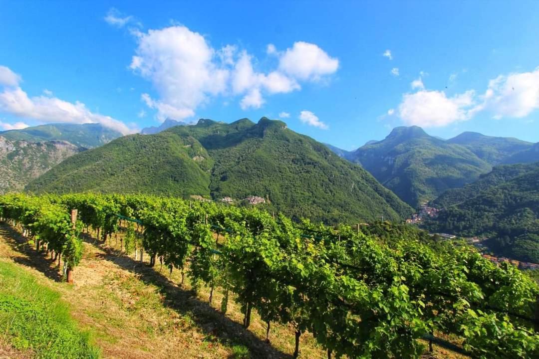 Casa Silvana Equi Terme Bagian luar foto